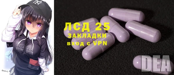 индика Гусь-Хрустальный
